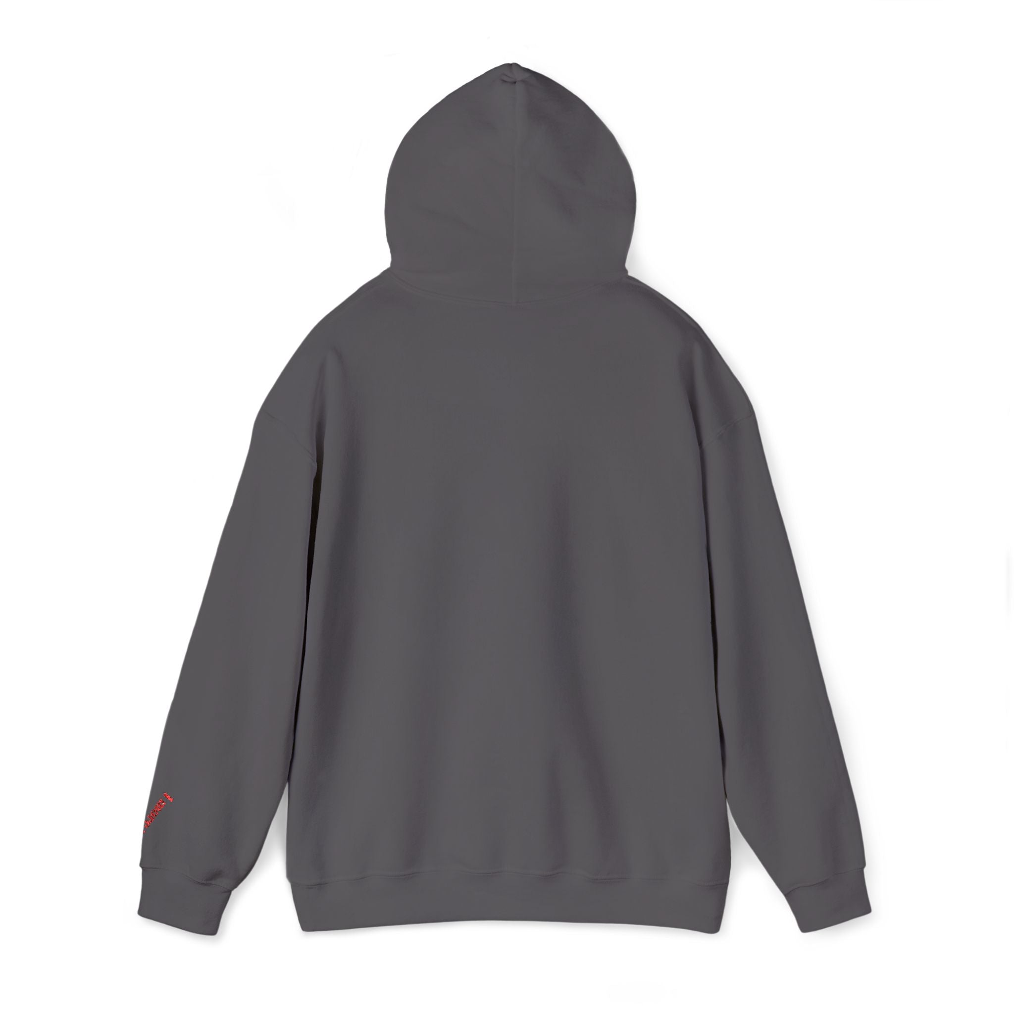 BULLX Center Logo Hoodie