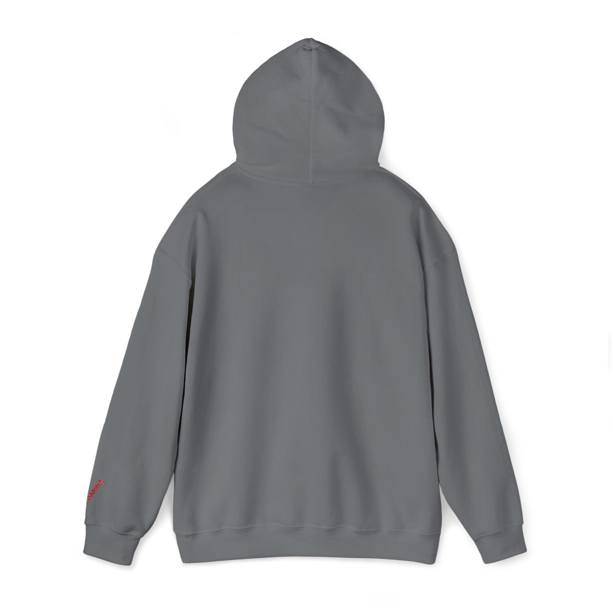 BULLX Center Logo Hoodie