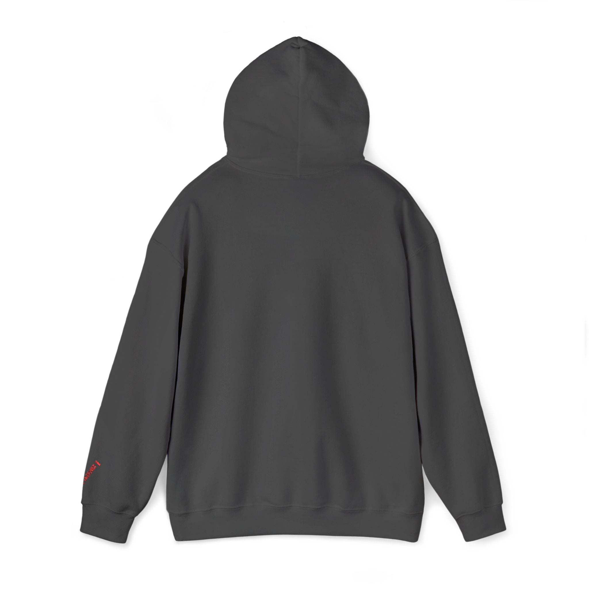 BULLX Center Logo Hoodie